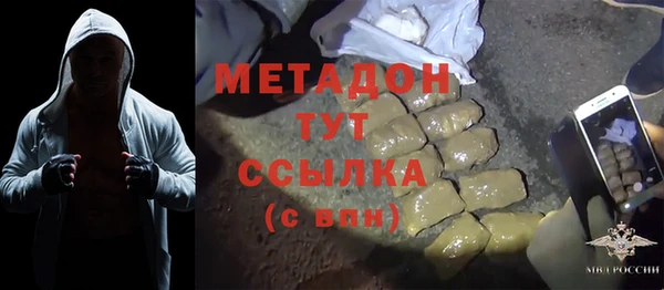 стаф Алзамай