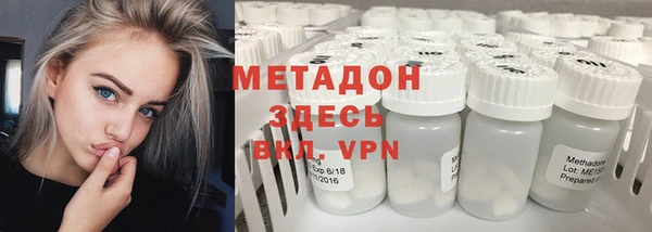 стаф Алзамай