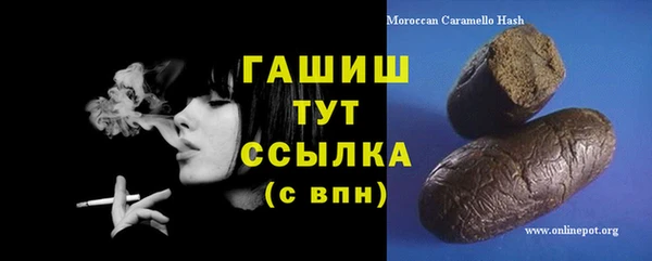 стаф Алзамай