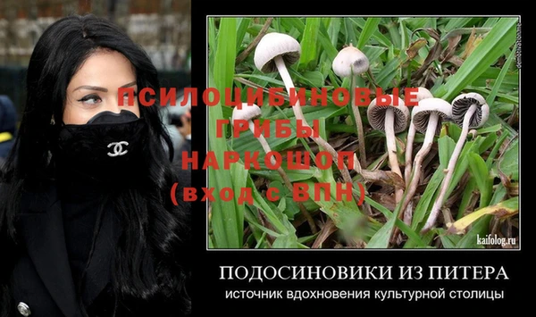 героин Алексин