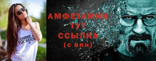 стаф Алзамай