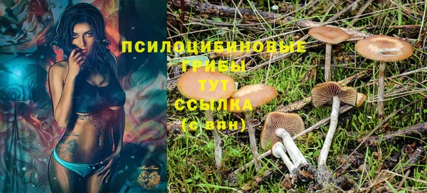 круглые Алексеевка
