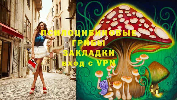 героин Алексин