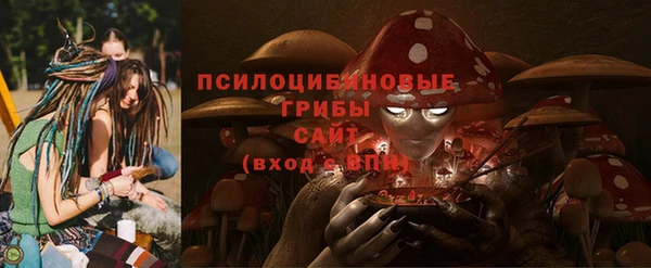 стаф Алзамай