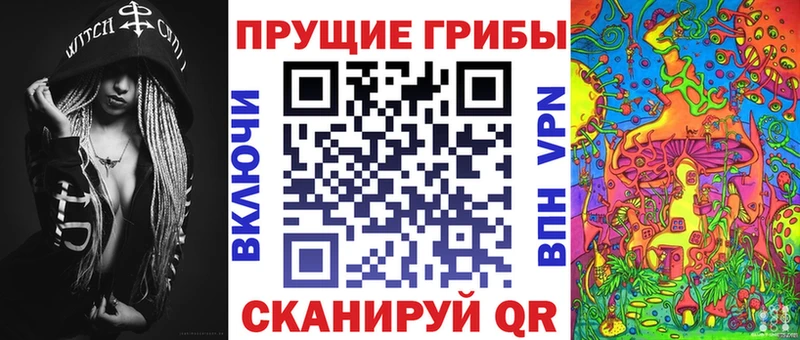Галлюциногенные грибы Magic Shrooms  наркотики  Тайшет 